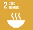 sdg 2