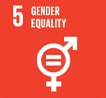 sdg 5