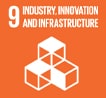 sdg 9