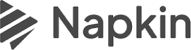 Napkin AI logo
