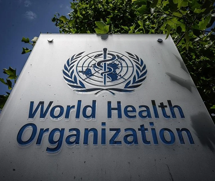 World Health Organization: Global health training at scale