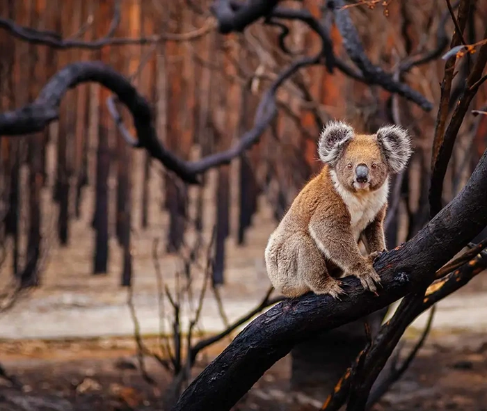 Programme and stakeholder management