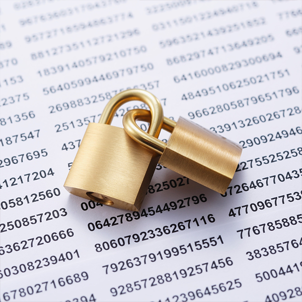 IBM Data Privacy for Information Architecture IBM Data Privacy for Information Architecture