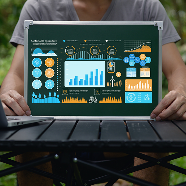 Data Analysis and Visualization with Power BI