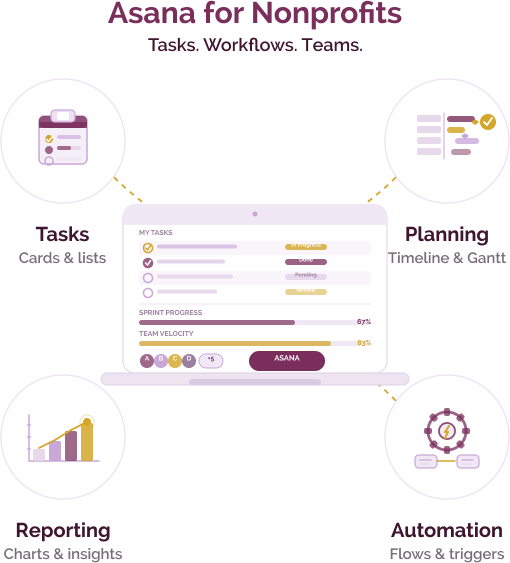 asana for nonprofits
