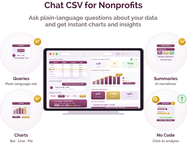 AI-powered data exploration for nonprofits working with spreadsheets
